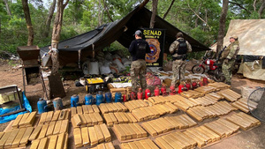 Incautan 4 toneladas de marihuana en Amambay