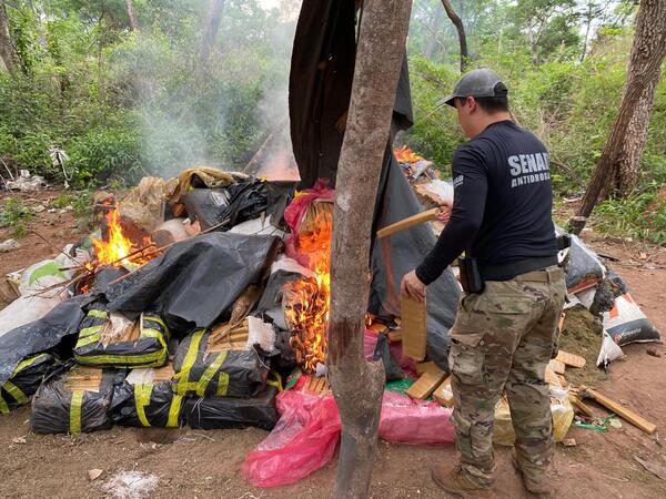 SENAD desmanteló base de narcotraficantes en Bella Vista Norte - trece
