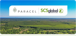 Paracel obtiene certificación forestal y se alista para operar | Economía y Finanzas | 5Días