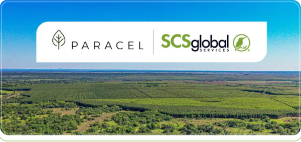 Paracel obtiene certificación forestal y se alista para operar | Economía y Finanzas | 5Días