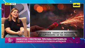 Mascotas y pirotecnia: consejos para proteger a tu perro durante las fiestas de fin de año - Ensiestados - ABC Color