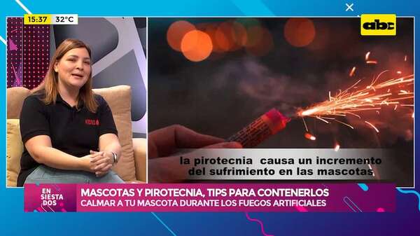 Mascotas y pirotecnia: consejos para proteger a tu perro durante las fiestas de fin de año - Ensiestados - ABC Color