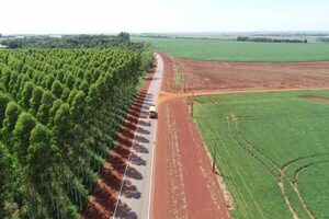 Superávit de lluvias en diciembre mejora las condiciones para los cultivos, aseguran - ADN Digital