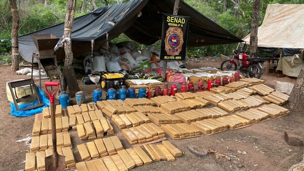 Narcos tenían cerdos, gallinas y perros, en medio del bosque en Bella Vista Norte
