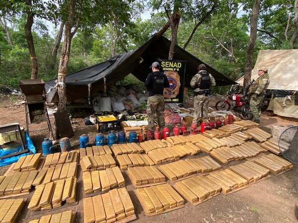 Destruyen más de 4 toneladas de marihuana en Amambay tras allanar centro de acopio clandestino - Policiales - ABC Color