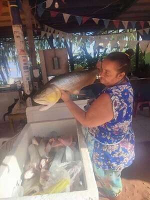 Terminó la veda y las pescaderías de Remanso vuelven con precios mejores que la carne vacuna - Economía - ABC Color