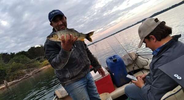 Ayolas: tras veda, pescadores comerciales retoman actividades con mucha expectativa - Nacionales - ABC Color