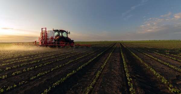 ¿Cómo ha evolucionado la producción agrícola? - Económico - ABC Color