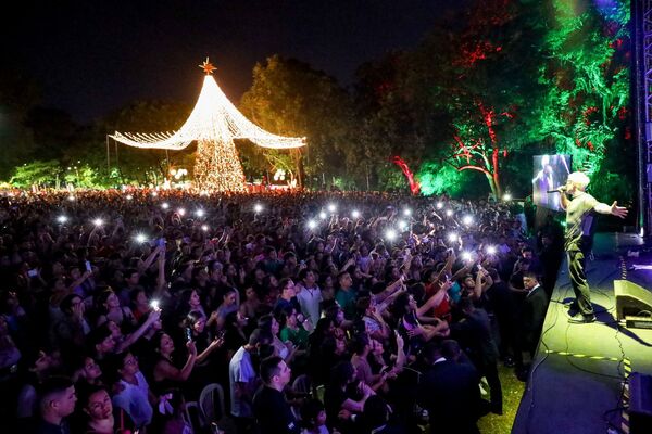 Villa Navideña 2024: Un éxito con 75.000 visitantes - ADN Digital