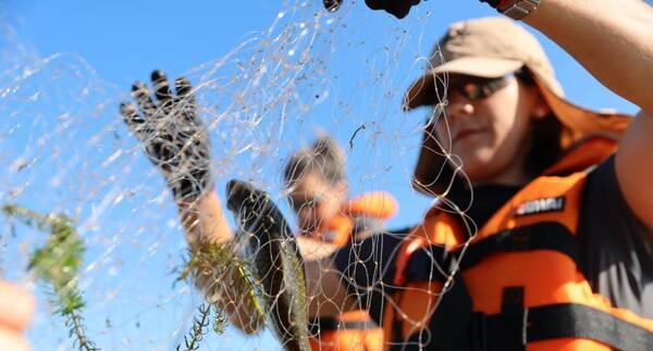 Finalizó el período de veda pesquera en aguas compartidas con Argentina