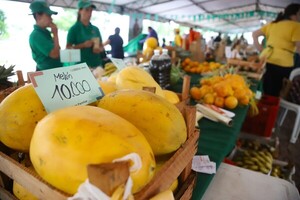 Fiesta de la Agricultura Familiar: productores recaudaron más de G. 374 millones - 1000 Noticias