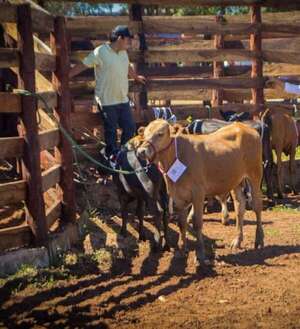 Santa Rosa: realizaron 1ª exposición y venta de animales mejorados genéticamente - Nacionales - ABC Color