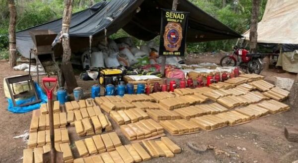 Narcos tenían cerdos, gallinas y perros, en medio del bosque en Bella Vista Norte