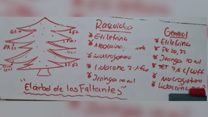 Médicos crean "árbol de los faltantes" de Navidad con los insumos que necesitan en Hospital de Itauguá