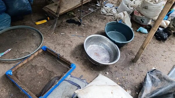 Destruyen más de 13 toneladas de marihuana halladas en campamentos clandestinos