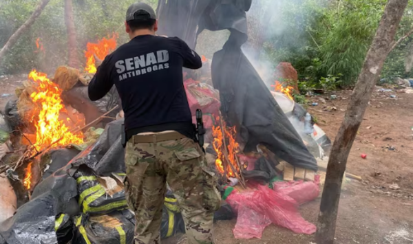 Destruyen más de 4 toneladas de marihuana en Amambay