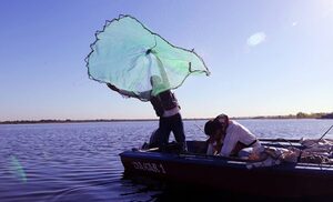 Culmina veda pesquera en aguas compartidas con la Argentina