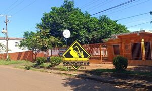 Ataque de abejas en cancha de fútbol deja varios afectados