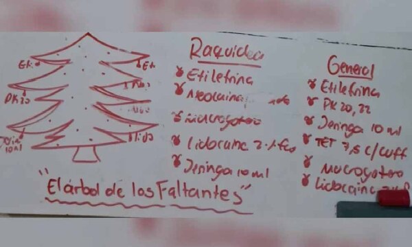 Médicos crean "árbol de los faltantes” de Navidad con los insumos que necesitan en Hospital de Itauguá – Prensa 5