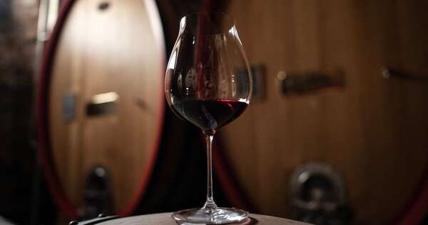 La Nación / Lo dice la ciencia: un poco de vino tendría beneficios para la salud