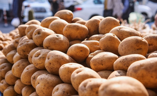 Se reanuda la importación de papas desde Argentina