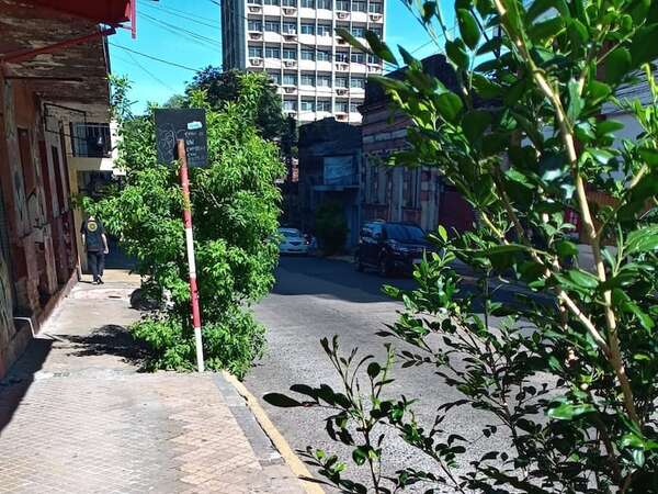Operativo “Din Din Don” en Asunción: denuncian recaudación paralela de la PMT en el microcentro - Nacionales - ABC Color