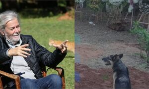 ¿Yo piko lloro? La perrita de Koki Ruiz amaneció en el lugar donde está enterrado su dueño