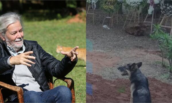 ¿Yo piko lloro? La perrita de Koki Ruiz amaneció en el lugar donde está enterrado su dueño