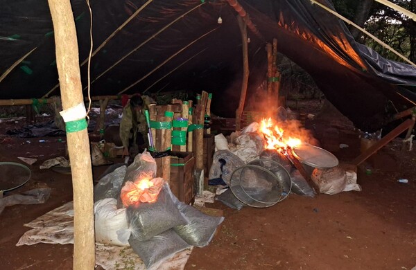 Capturan a traficantes con más de 8 toneladas de marihuana en mega base narco en Amambay - .::Agencia IP::.