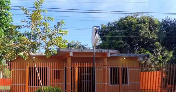 Diario HOY | Enjambre de abejas atacó a varias personas durante partido en cancha sintética