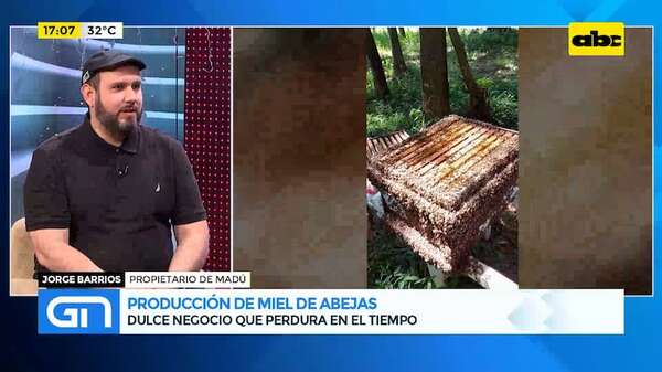 Producción de miel de abejas: dulce negocio que perdura en el tiempo - Gente & Negocios - ABC Color
