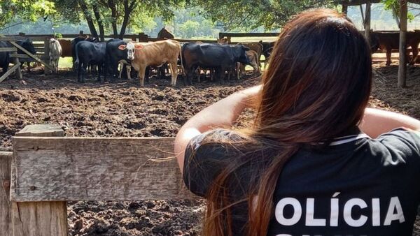 Tras exitoso operativo, reafirman compromiso en la lucha contra el abigeato | Agronegocios | 5Días