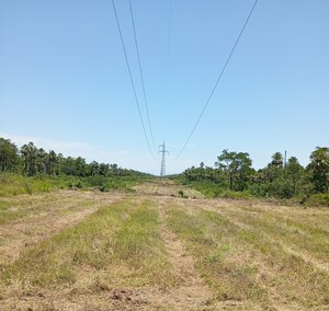 ANDE refuerza la seguridad eléctrica en el Chaco con trabajo de limpieza en línea de transmisión Vallemi – Loma Plata