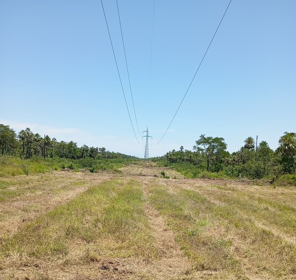ANDE refuerza la seguridad eléctrica en el Chaco con trabajo de limpieza en línea de transmisión Vallemi – Loma Plata