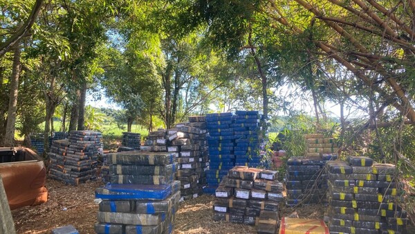 Hallan aproximadamente 20 toneladas de marihuana tras tiroteo en Marangatú