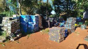 Golpe al narcotráfico en Canindeyú: SENAD incautó más de 20 mil kilos de marihuana - Unicanal