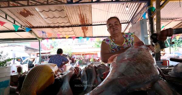 La Nación / Fin de veda pesquera en aguas compartidas con Argentina amplía opciones para cena navideña