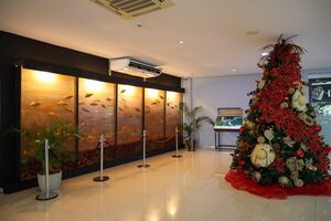 Parte del legado de Koki Ruiz se exhibe en el Centro de Recepción de Visitas de Itaipú - ADN Digital