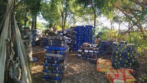 Incautación récord de marihuana en Canindeyú: 40 toneladas
