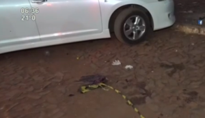 Comerciante abate a delincuente tras asalto en su local - SNT