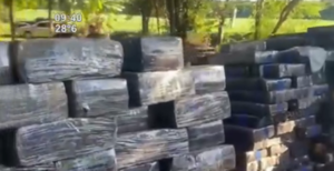 Incautación récord de 40 toneladas de marihuana en Operativo Marangatú - SNT