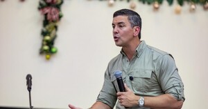 Las remesas alcanzan un nivel récord mientras el oficialismo "premia" a los radicados en el exterior con más trabas para votar