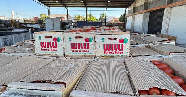 Diario HOY | Golpe al contrabando: Incautan 7 toneladas de tomate y 3 de cebolla en zona del Remanso