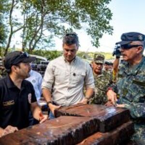Duro golpe al crimen organizado: Histórica incautación de 57 toneladas de marihuana en Canindeyú :: Presidencia de la República del Paraguay