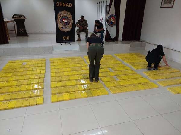 Caso Squid: SIU-Senad incauta más de 400 kilos de cocaína en el Chaco - Policiales - ABC Color