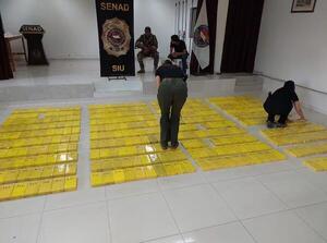 SIU y Senad incautan más de 400 kilos de cocaína en el Chaco