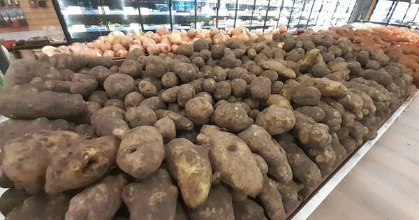 La Nación / Senave reabre importación de papas de Argentina para satisfacer demanda nacional