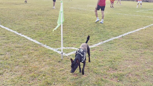 Bimba, la perrita adoptada experta en pillar drogas