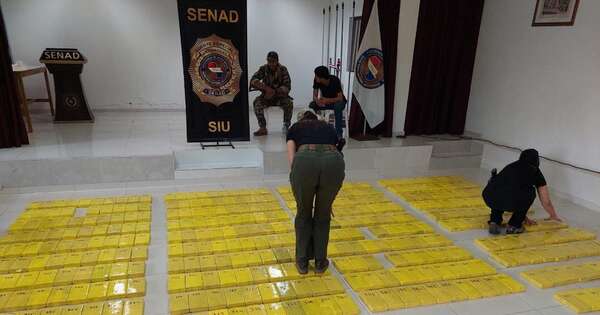 La Nación / Operativo Resiliencia: incautan 430 kilos de cocaína en Pozo Colorado, Chaco