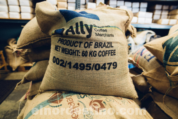 Paraguay sigue expandiendo sus exportaciones hacia todo el mundo con nuevos mercados para productos nacionales - El Nordestino